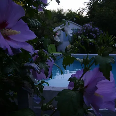 Hotel La Ferme De Thoudiere